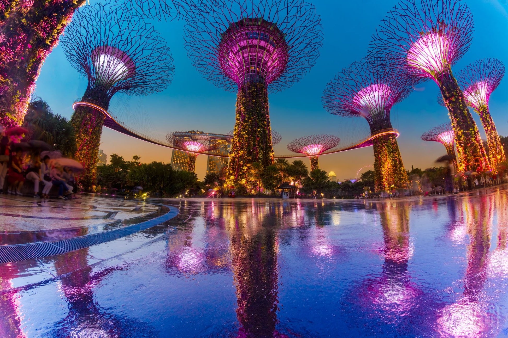 Singapore package